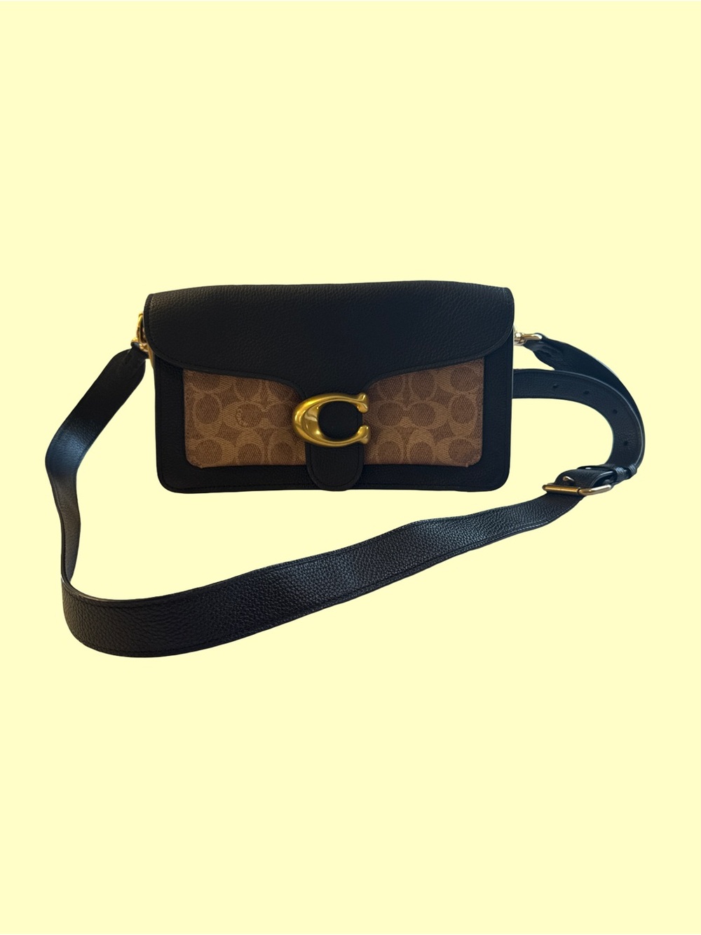Coach Black & Brown Signature Canvas Leather Crossbody Bag